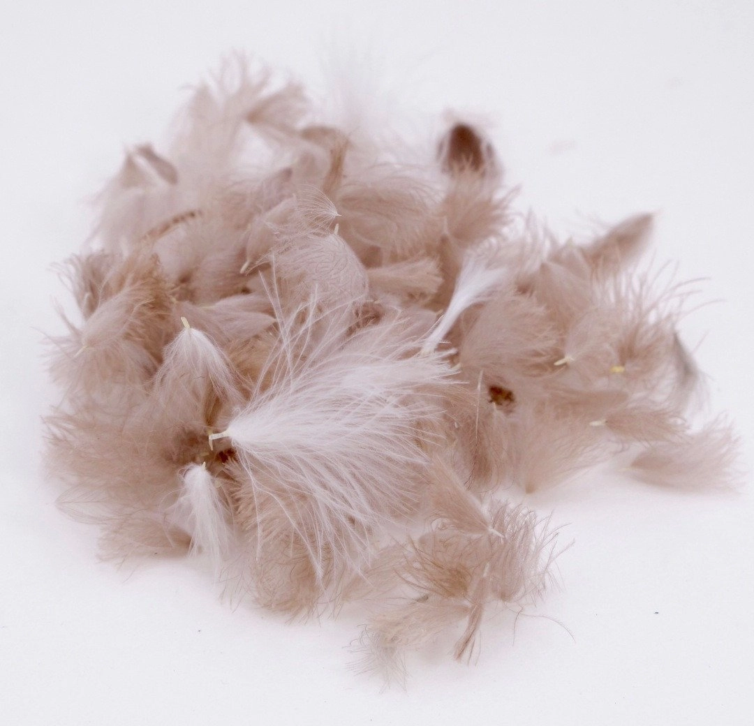 Nature's Spirit Bulk Cul De Canard CDC Tufts 1/2 gram