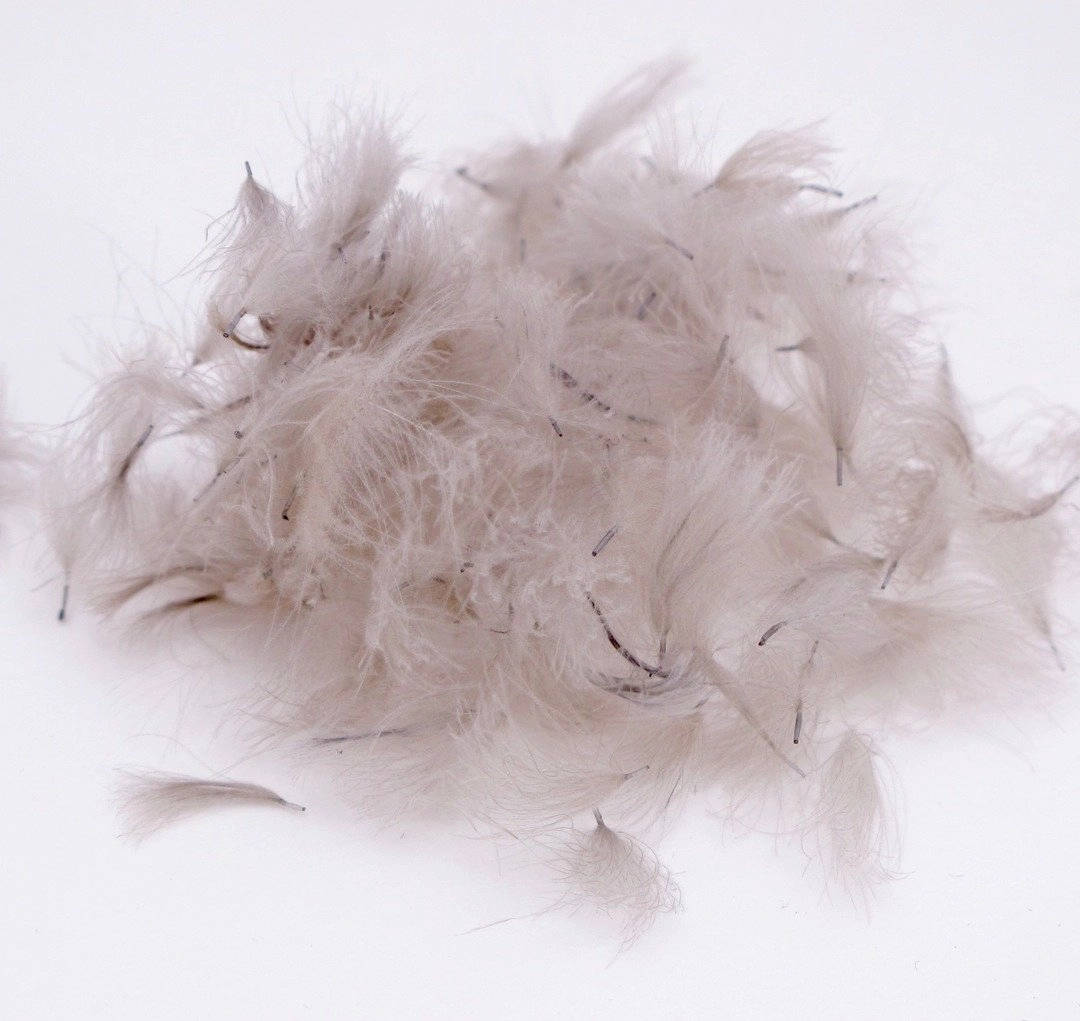Nature's Spirit Bulk Cul De Canard CDC Tufts 1/2 gram
