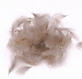 Nature's Spirit Bulk Cul De Canard CDC Tufts 1/2 gram