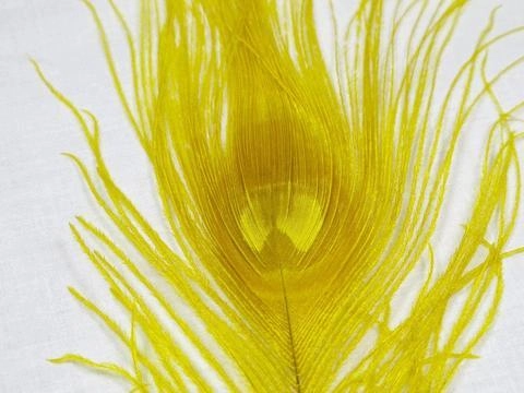 Nature's Spirit Dyed Peacock Sticks