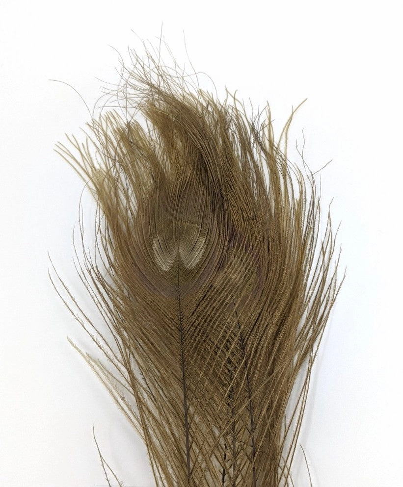 Nature's Spirit Dyed Peacock Sticks