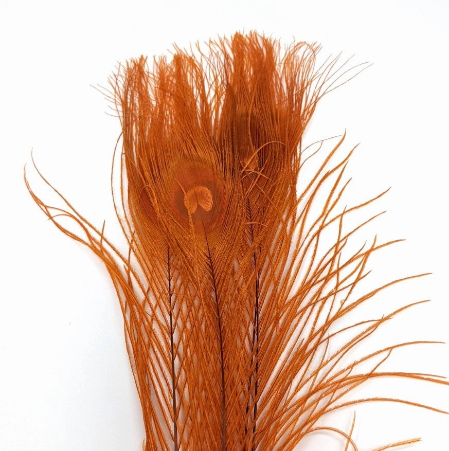 Nature's Spirit Dyed Peacock Sticks