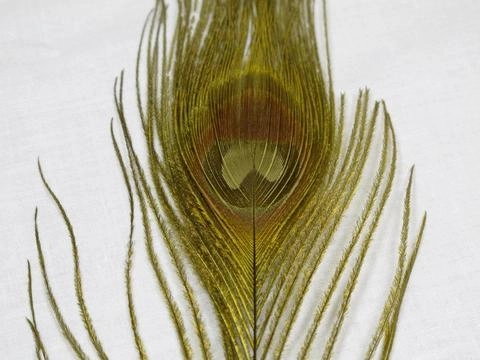 Nature's Spirit Dyed Peacock Sticks