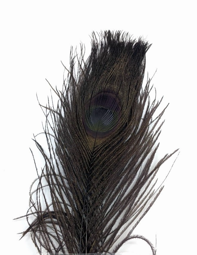 Nature's Spirit Dyed Peacock Sticks