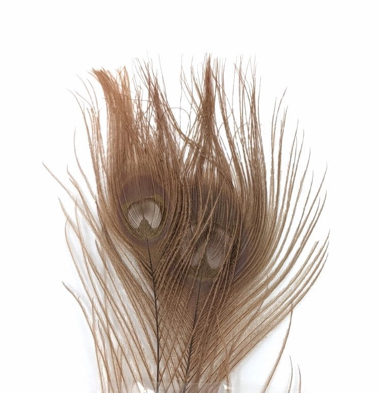 Nature's Spirit Dyed Peacock Sticks