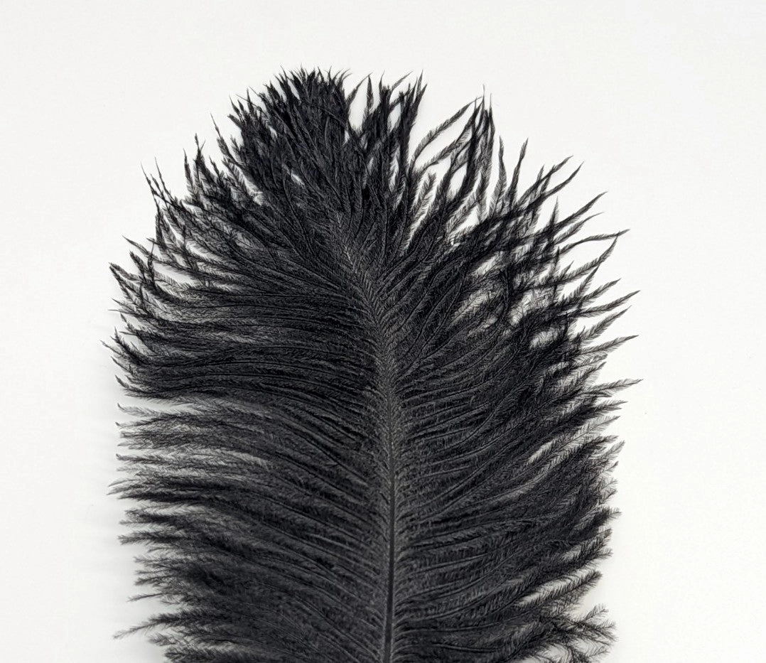 Nature's Spirit Ostrich Plume 10-12"