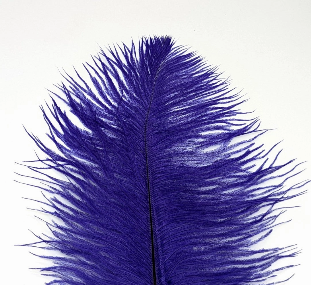 Nature's Spirit Ostrich Plume 10-12"