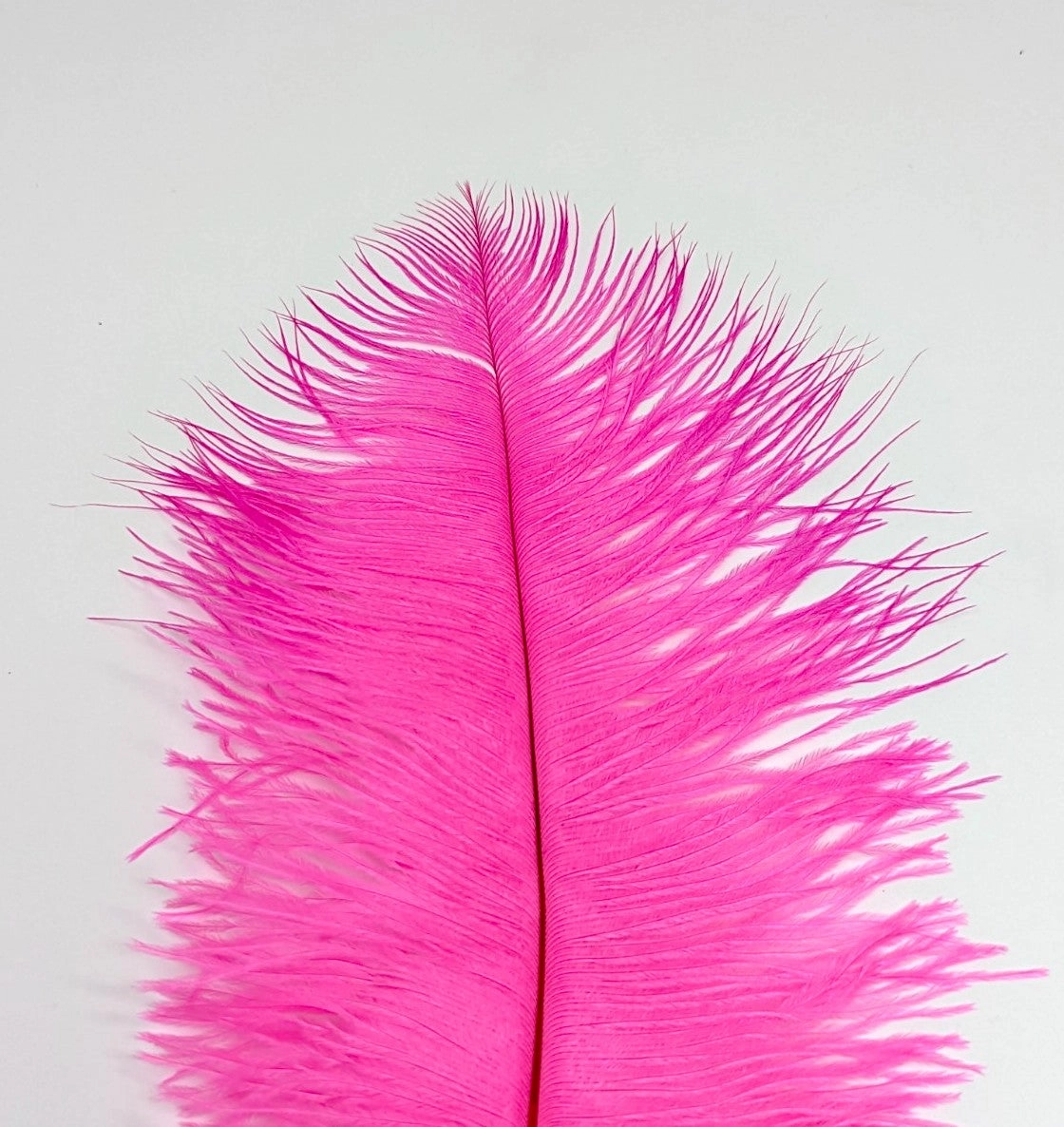 Nature's Spirit Ostrich Plume 10-12"