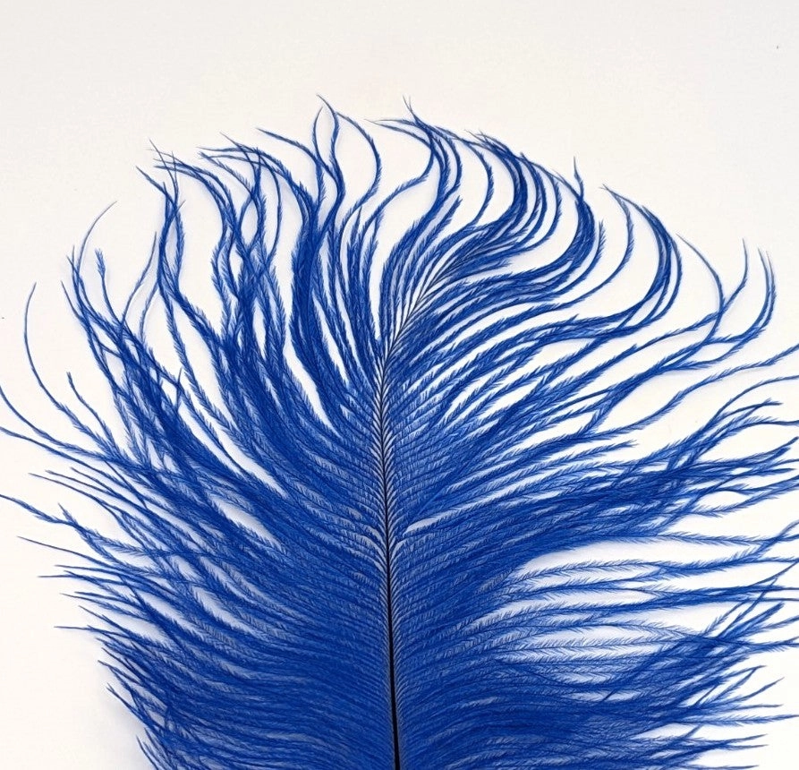 Nature's Spirit Ostrich Plume 10-12"