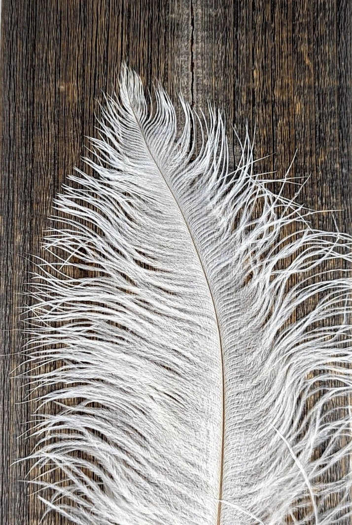 Nature's Spirit Ostrich Plume 10-12"