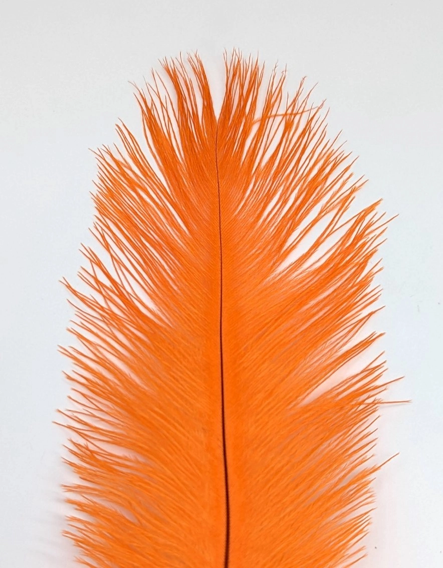 Nature's Spirit Ostrich Plume 10-12"