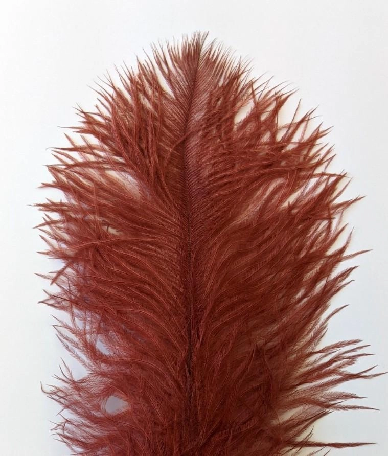 Nature's Spirit Ostrich Plume