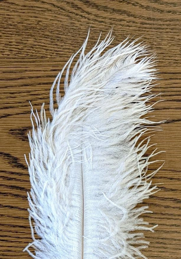 Nature's Spirit Ostrich Plume