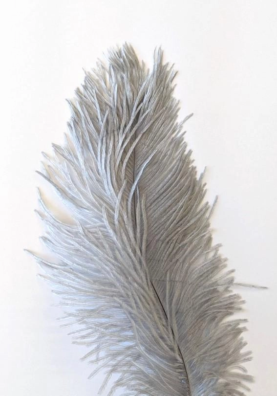 Nature's Spirit Ostrich Plume