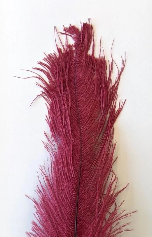 Nature's Spirit Ostrich Plume