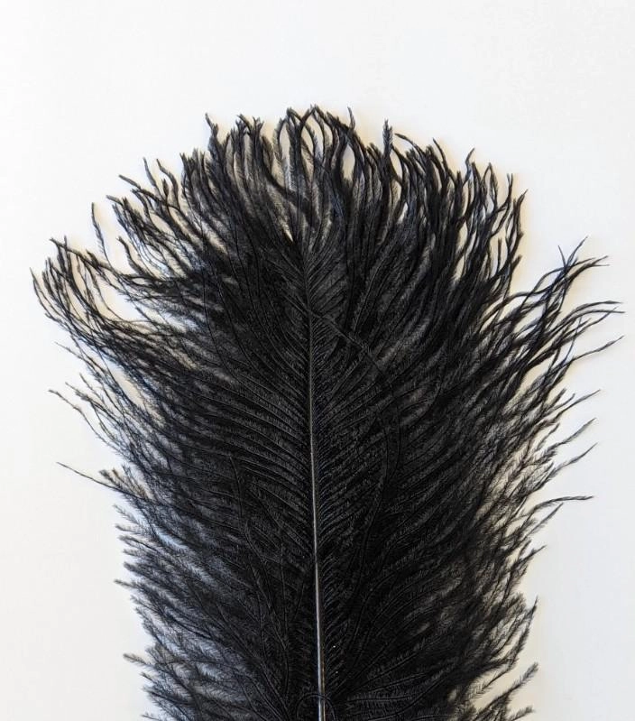 Nature's Spirit Ostrich Plume