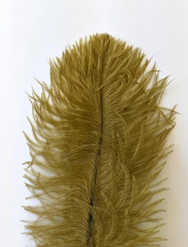 Nature's Spirit Ostrich Plume