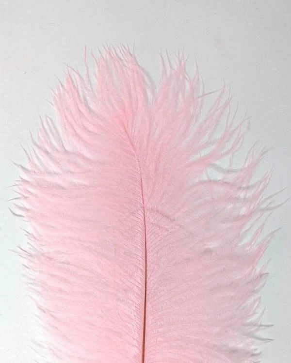 Nature's Spirit Ostrich Plume