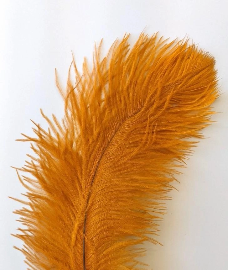 Nature's Spirit Ostrich Plume