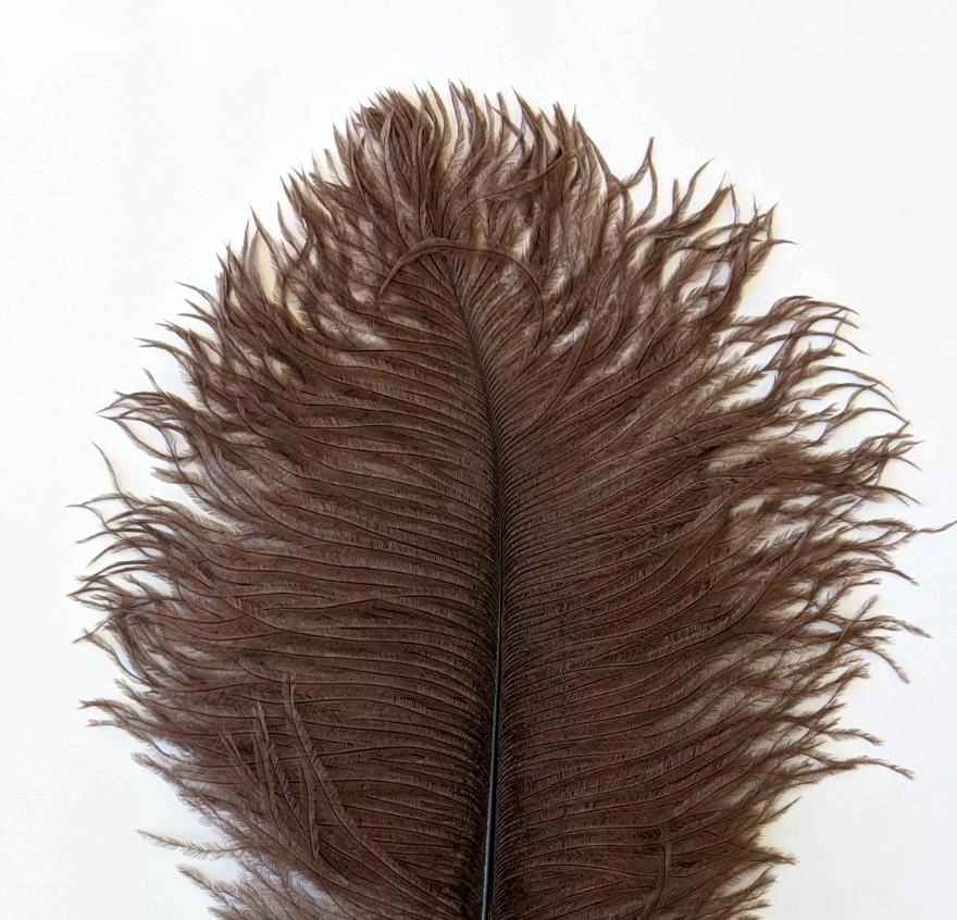 Nature's Spirit Ostrich Plume