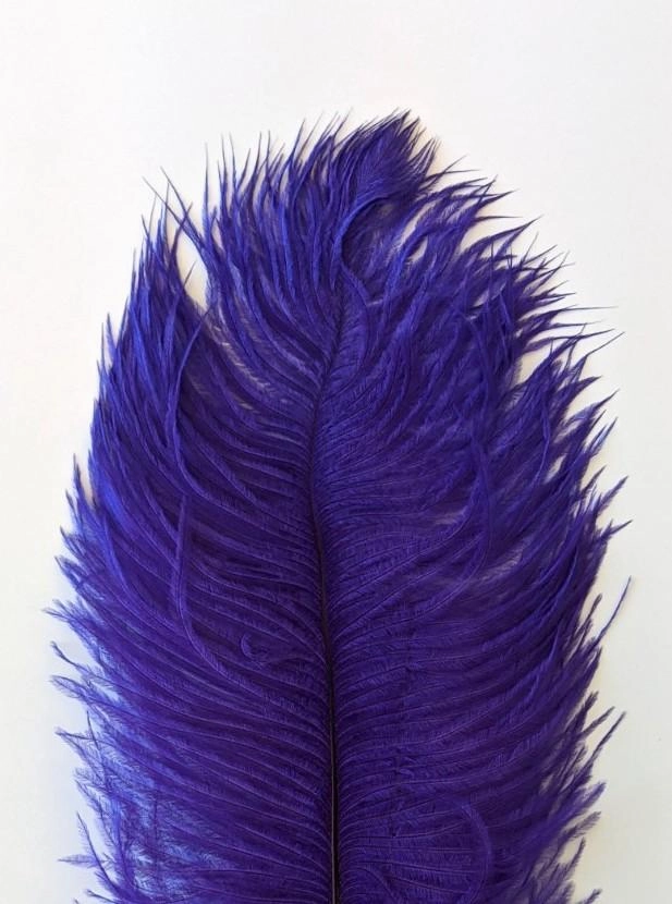 Nature's Spirit Ostrich Plume