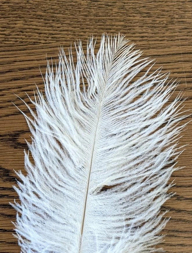 Nature's Spirit Ostrich Plume