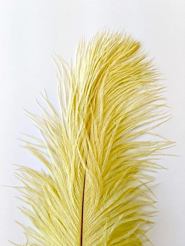 Nature's Spirit Ostrich Plume