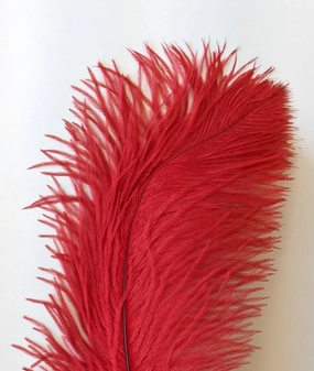 Nature's Spirit Ostrich Plume