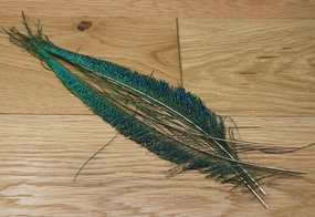 Nature's Spirit Peacock Sword - 2 matched pair Natural