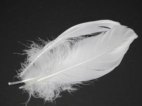 Nature's Spirit Select Goose Shoulder - 6 Extra Large Select Feathers