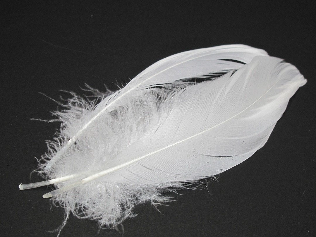 Nature's Spirit Select Goose Shoulder - 6 Extra Large Select Feathers