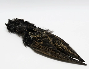 Nature's  Spirit Select Starling Skin