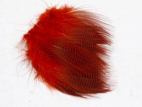 Nature's Spirit Teal Barred Flank - Select Feathers