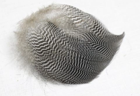 Nature's Spirit Teal Barred Flank - Select Feathers
