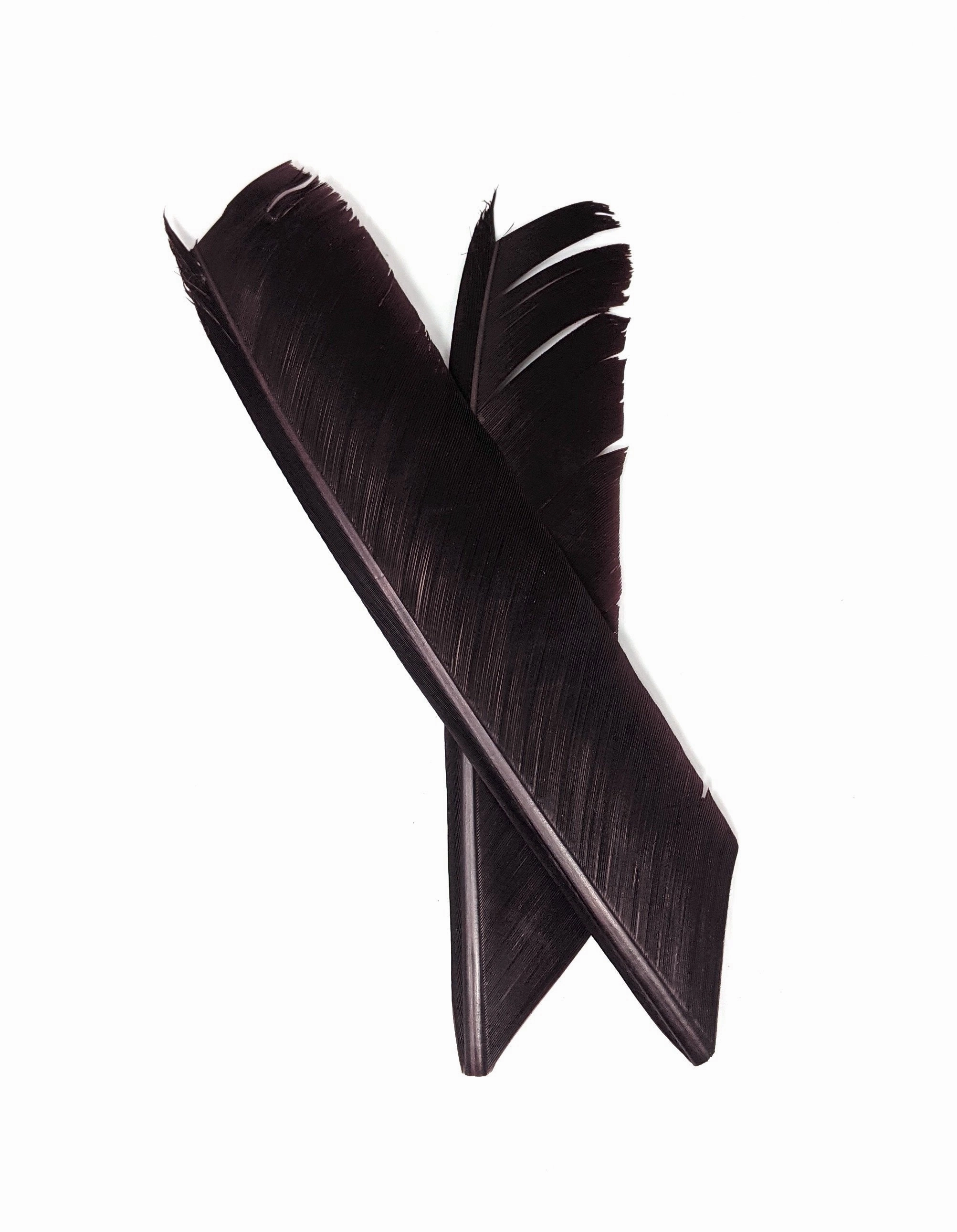 Nature's Spirit Turkey Biot Quill Pieces