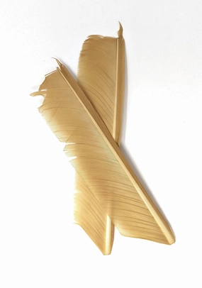 Nature's Spirit Turkey Biot Quill Pieces