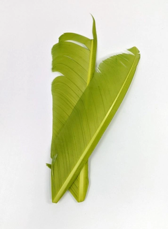 Nature's Spirit Turkey Biot Quill Pieces