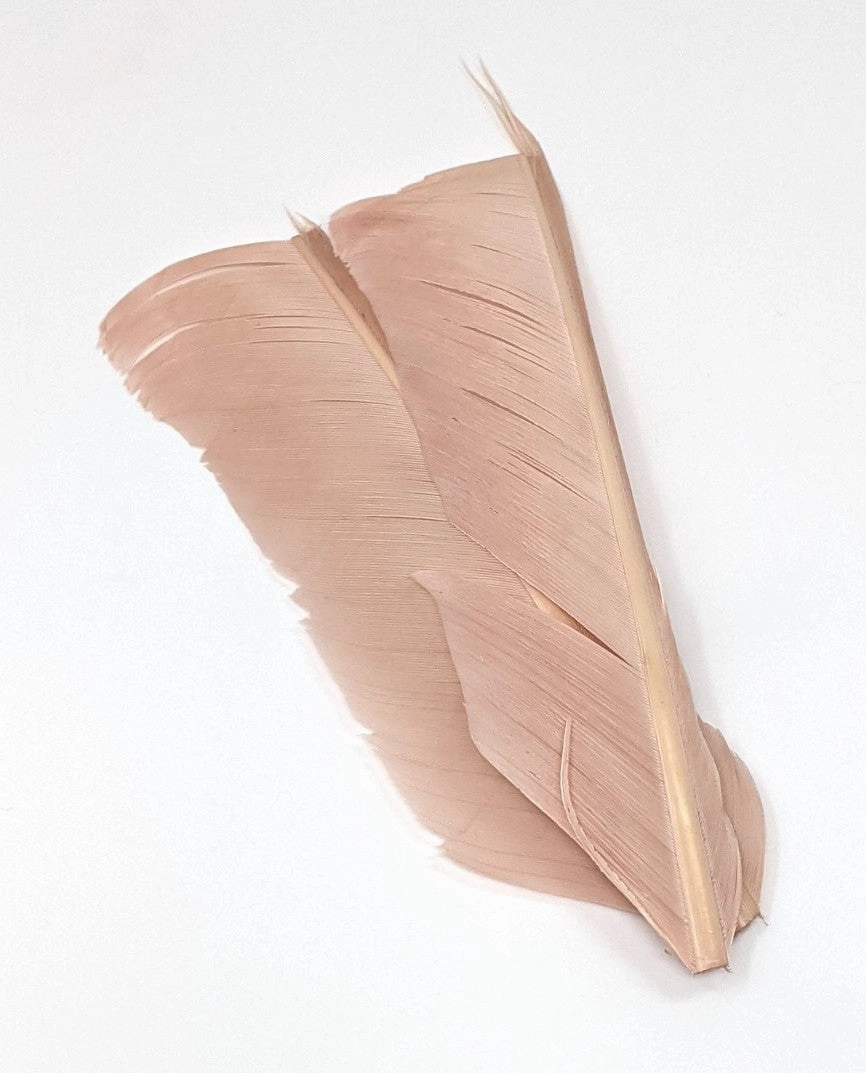 Nature's Spirit Turkey Biot Quill Pieces