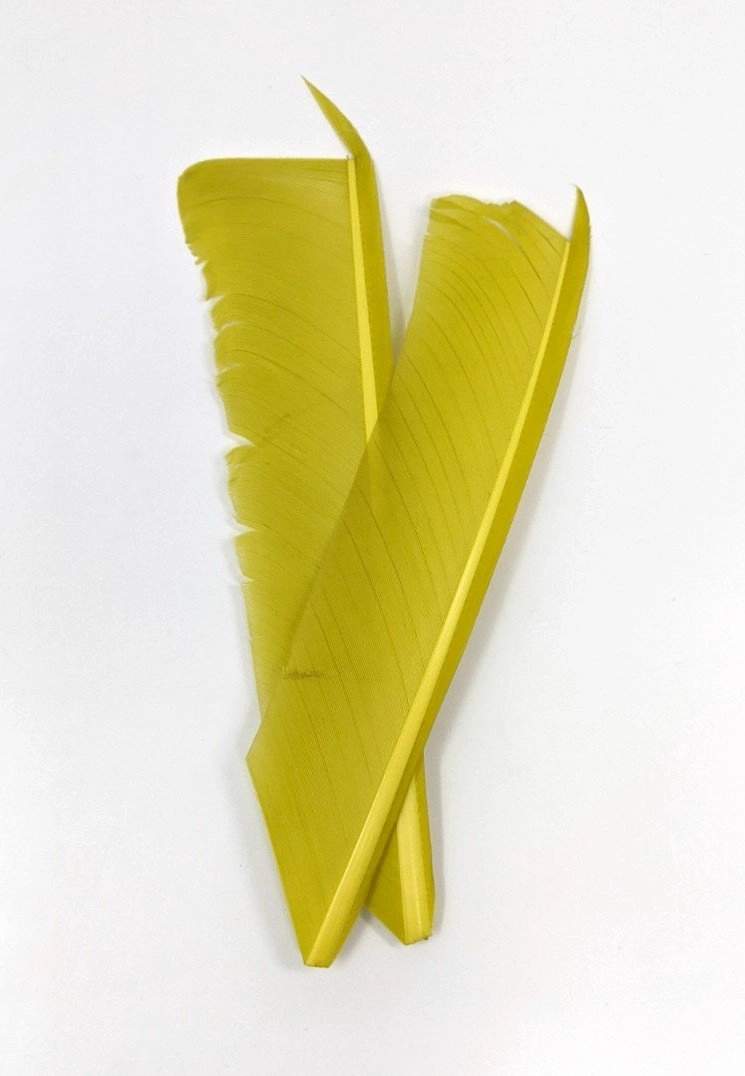 Nature's Spirit Turkey Biot Quill Pieces