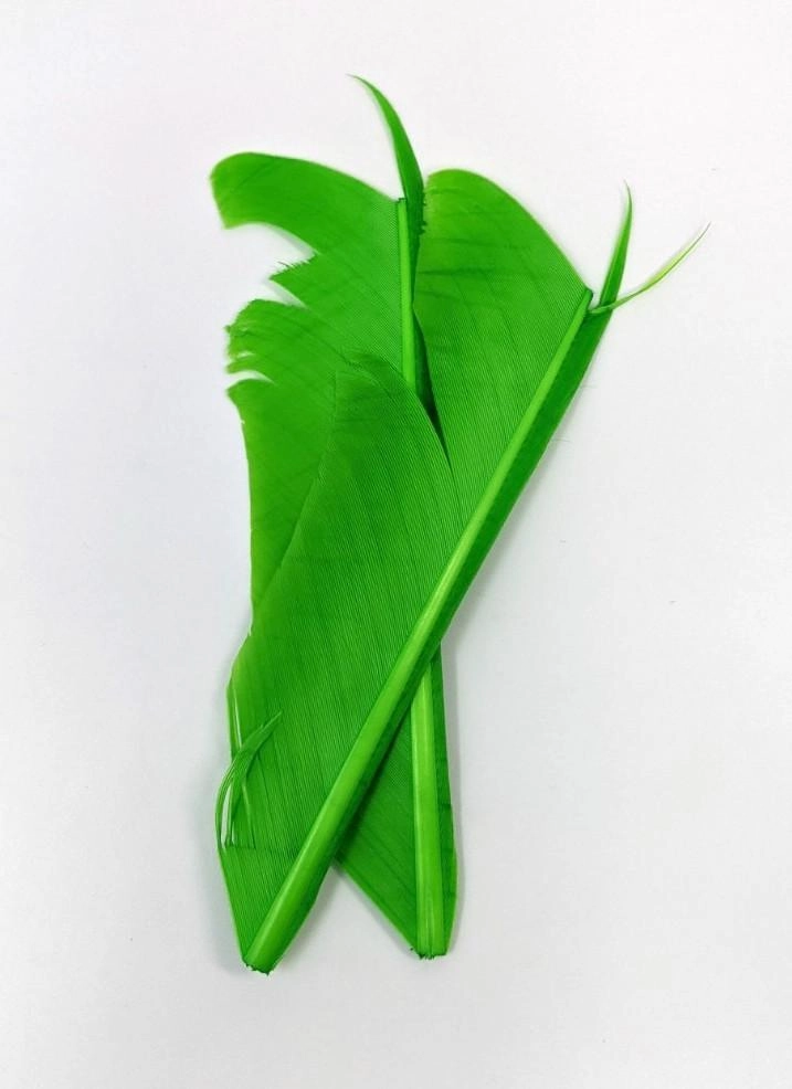 Nature's Spirit Turkey Biot Quill Pieces
