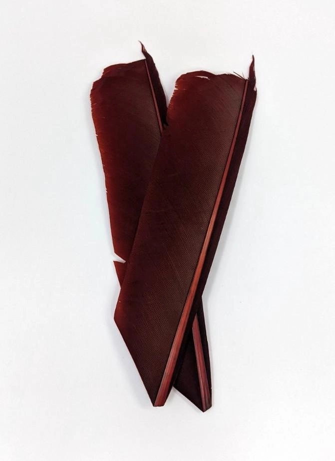 Nature's Spirit Turkey Biot Quill Pieces