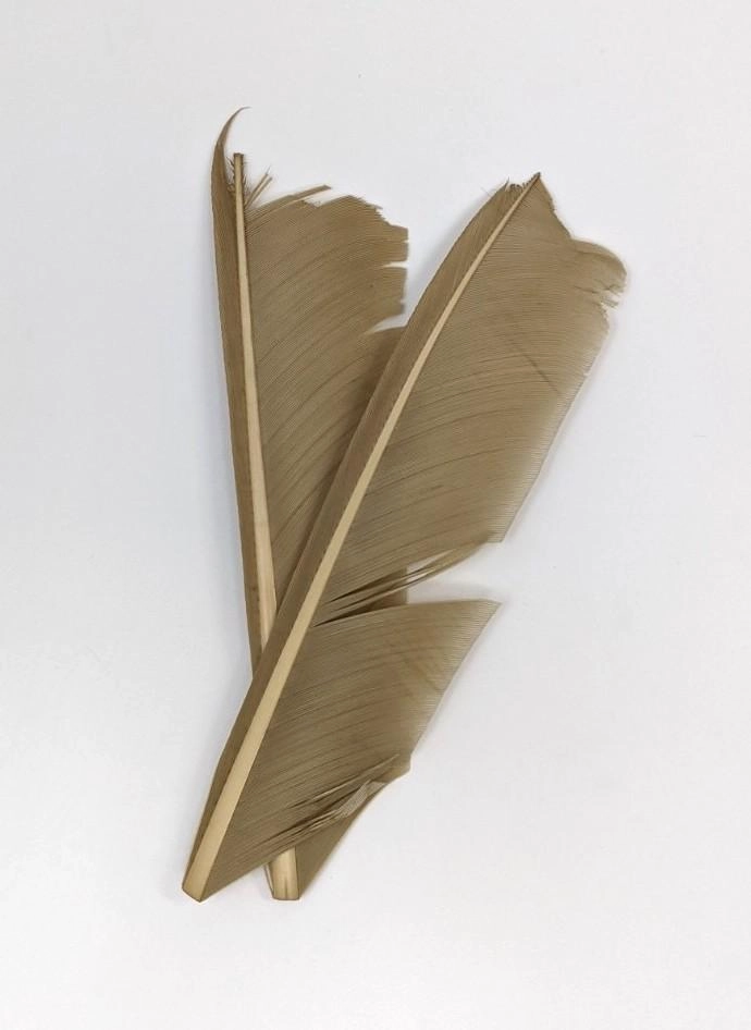 Nature's Spirit Turkey Biot Quill Pieces