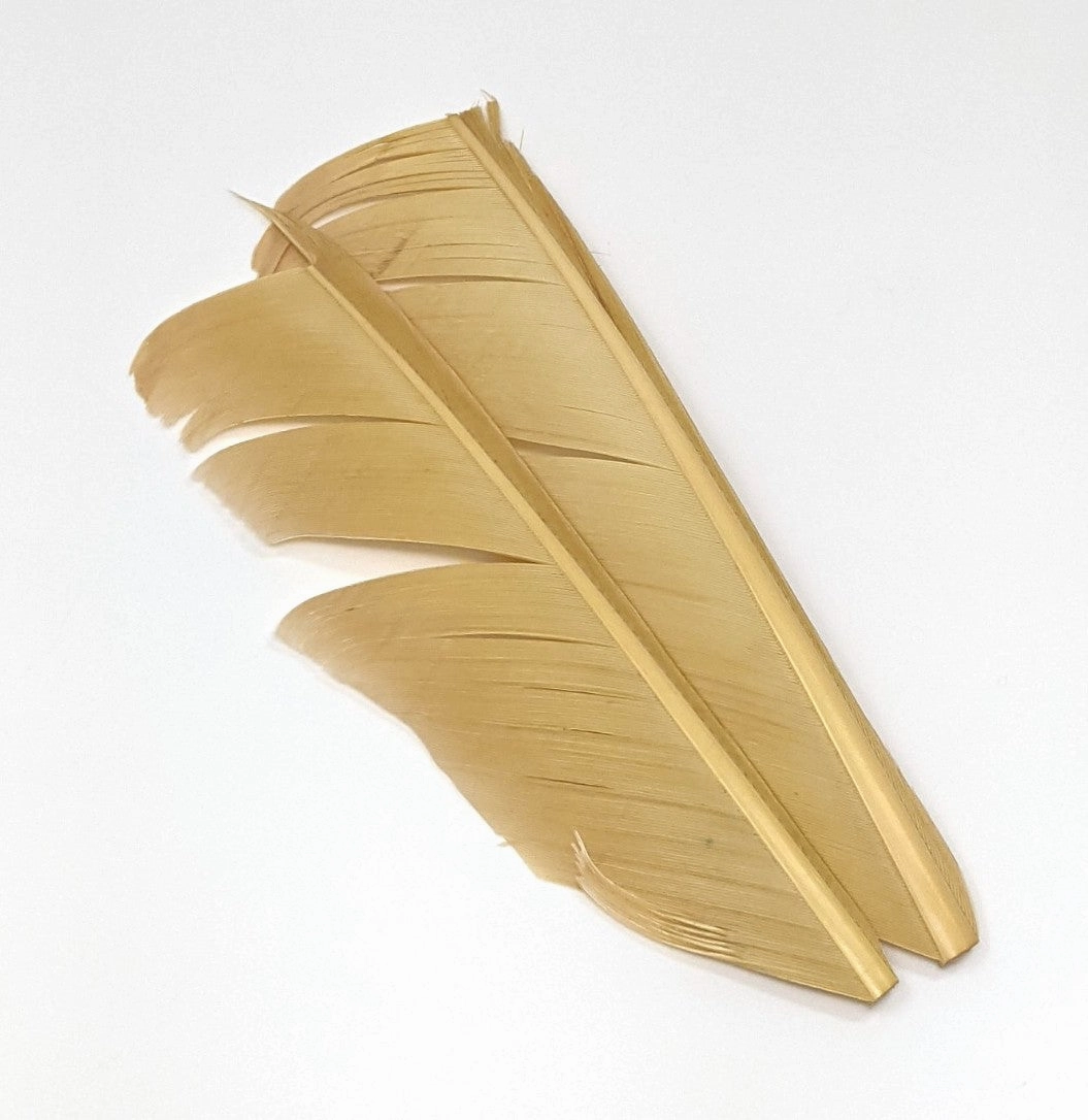 Nature's Spirit Turkey Biot Quill Pieces