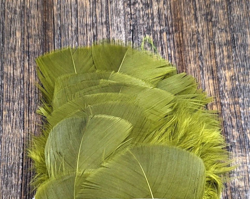 Nature's Spirit Turkey Flats