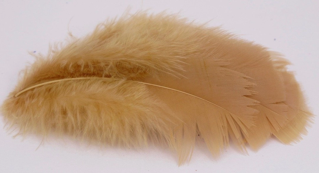 Nature's Spirit Turkey Flats