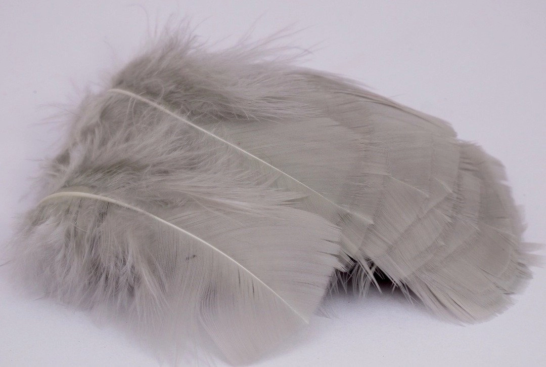 Nature's Spirit Turkey Flats