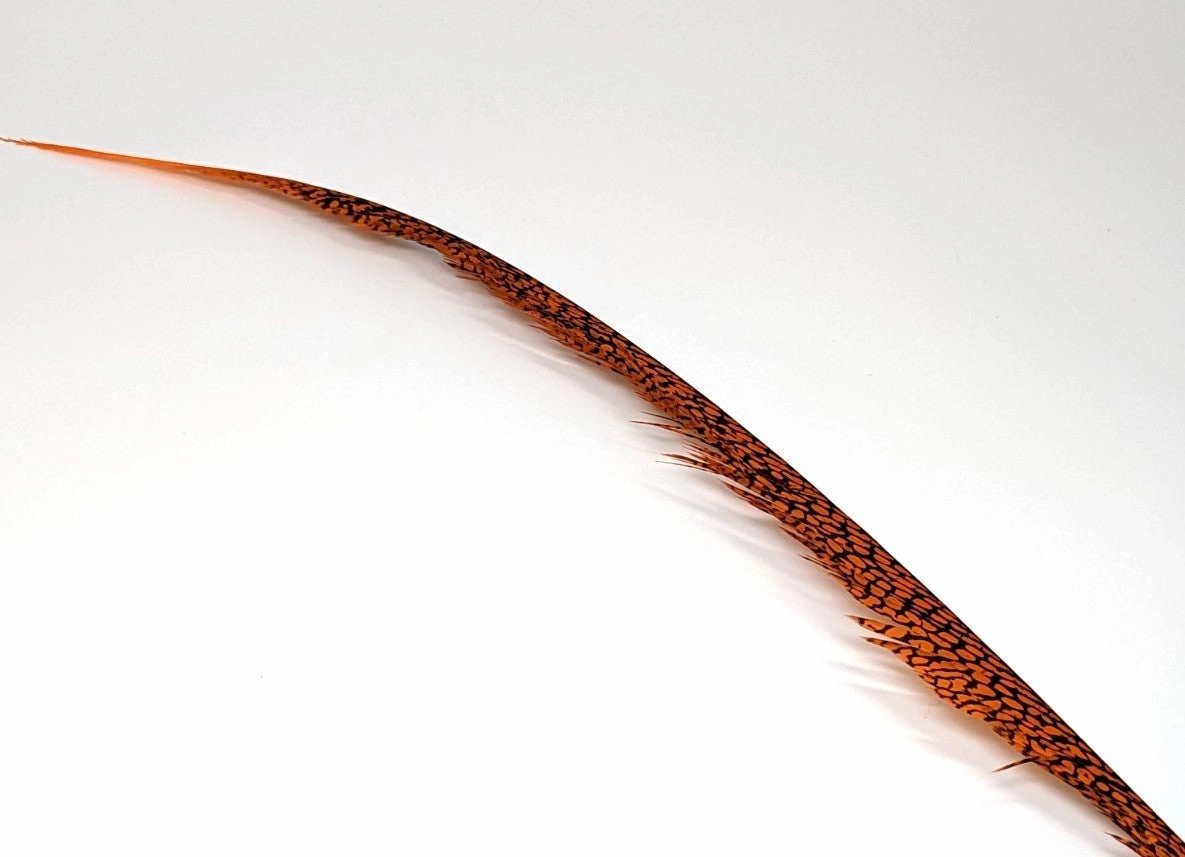 Nature's Sprit Golden Pheasant Center Tail Feather