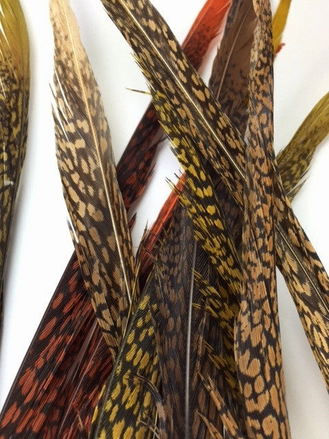 Nature's Sprit Golden Pheasant Center Tail Feather