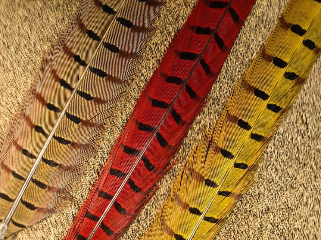 Nature's Sprit Ringneck Pheasant Center Tails