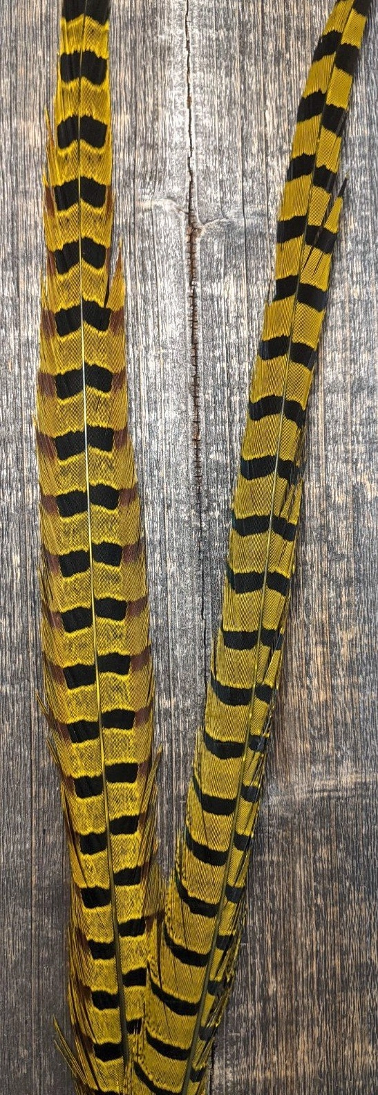 Nature's Sprit Ringneck Pheasant Center Tails